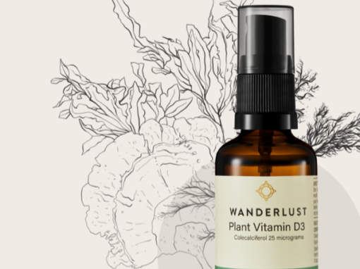 Wanderlust Products
